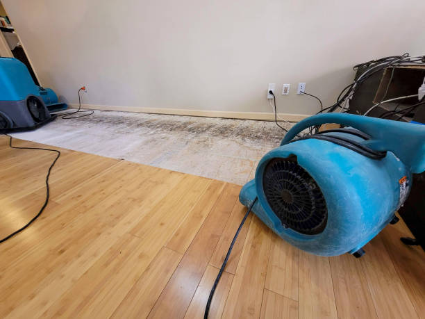 Professional Emergency Water Damage technician working in Ider, AL